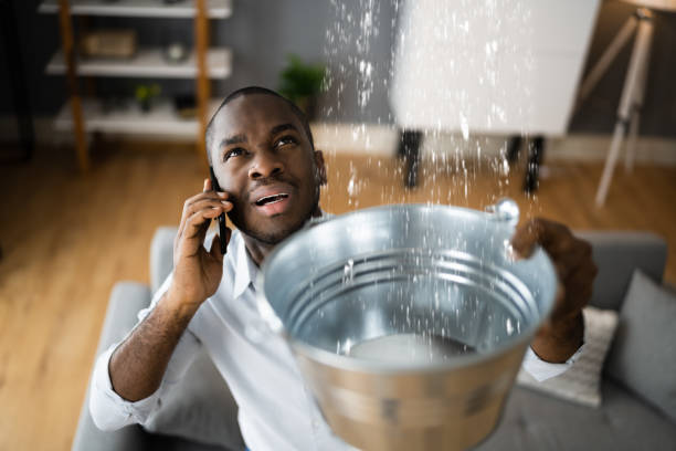 Best Water damage contractors near me  in Huxley, IA