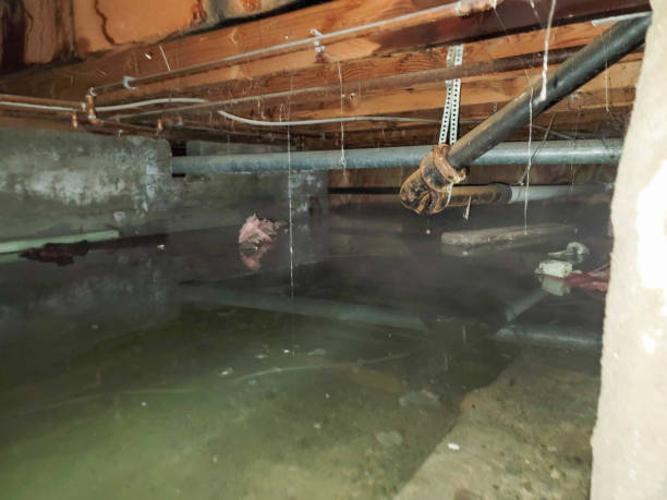 Best Ceiling water damage repair  in Huxley, IA