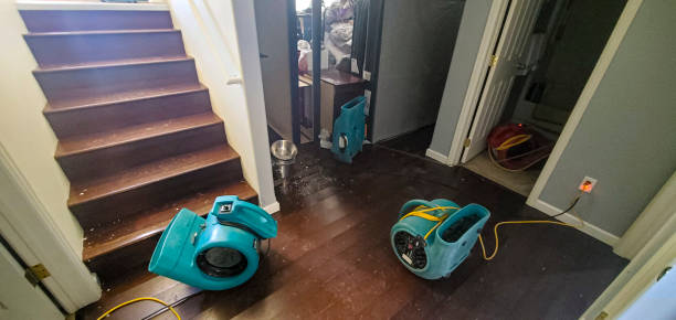 Best Water damage cleanup near me  in Huxley, IA