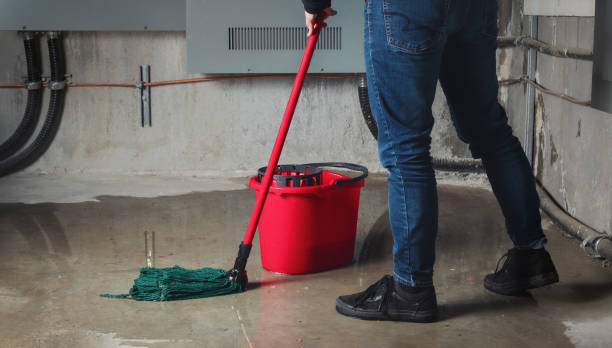 Best Basement water damage restoration  in Huxley, IA